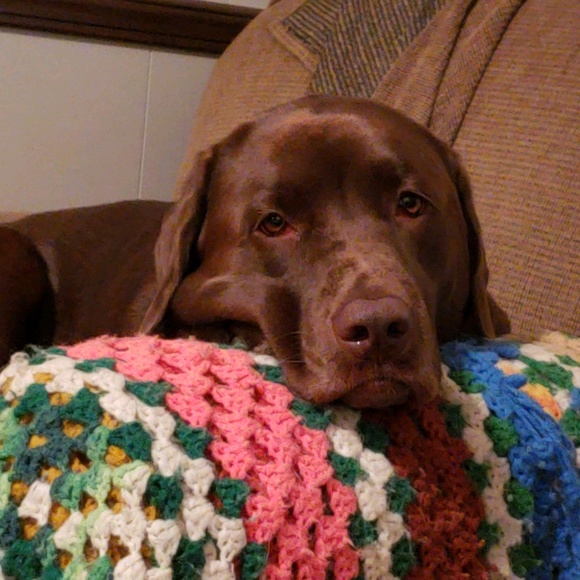 Meet your Posher, Raine - Picture 1 of 1